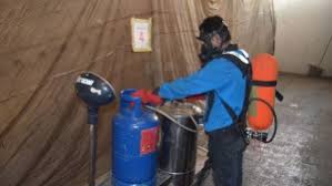 Karakter Rayap, Hama Destruktif yang Harus Dibasmi Oleh Jasa Anti Rayap Bandung