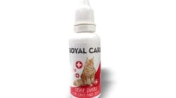4 Rekomendasi Obat Diare Kucing Di Apotik Paling Ampuh